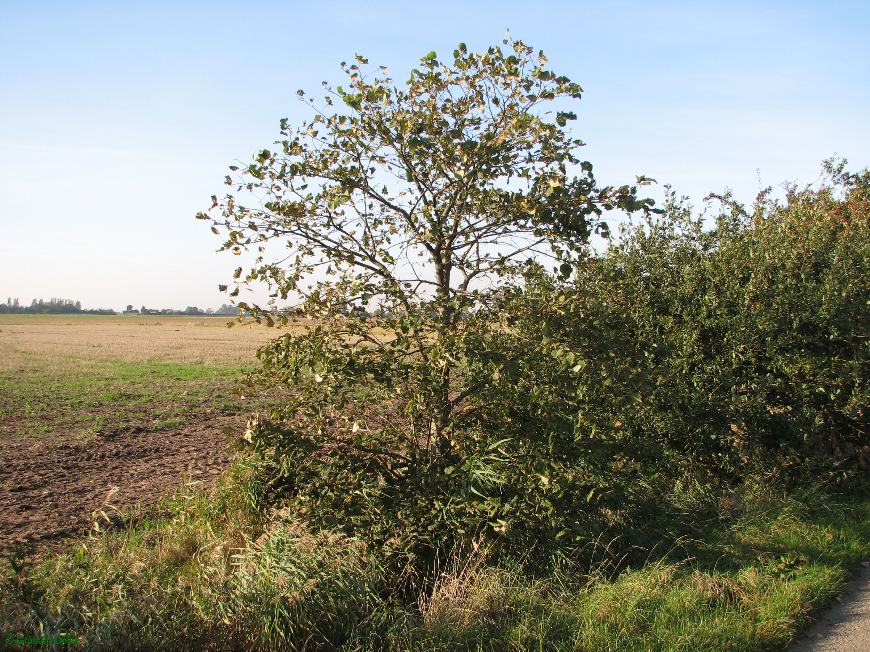 Greenwich Meridian Marker; England; Lincolnshire; Frampton Marsh